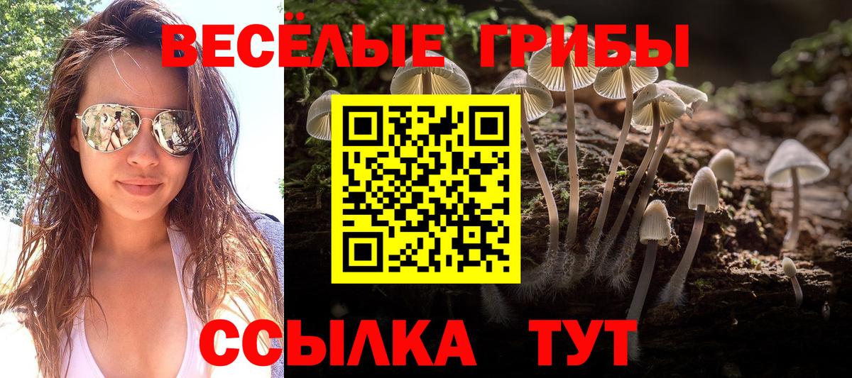 Галлюциногенные грибы Cubensis  Вход с VPN  Таганрог 