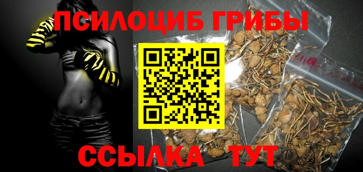 Псилоцибиновые грибы ЛСД Таганрог